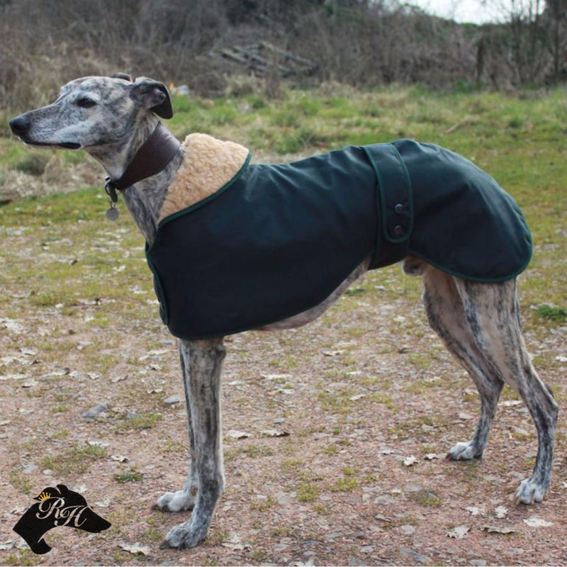 Water & Windproof Greyhound Coat